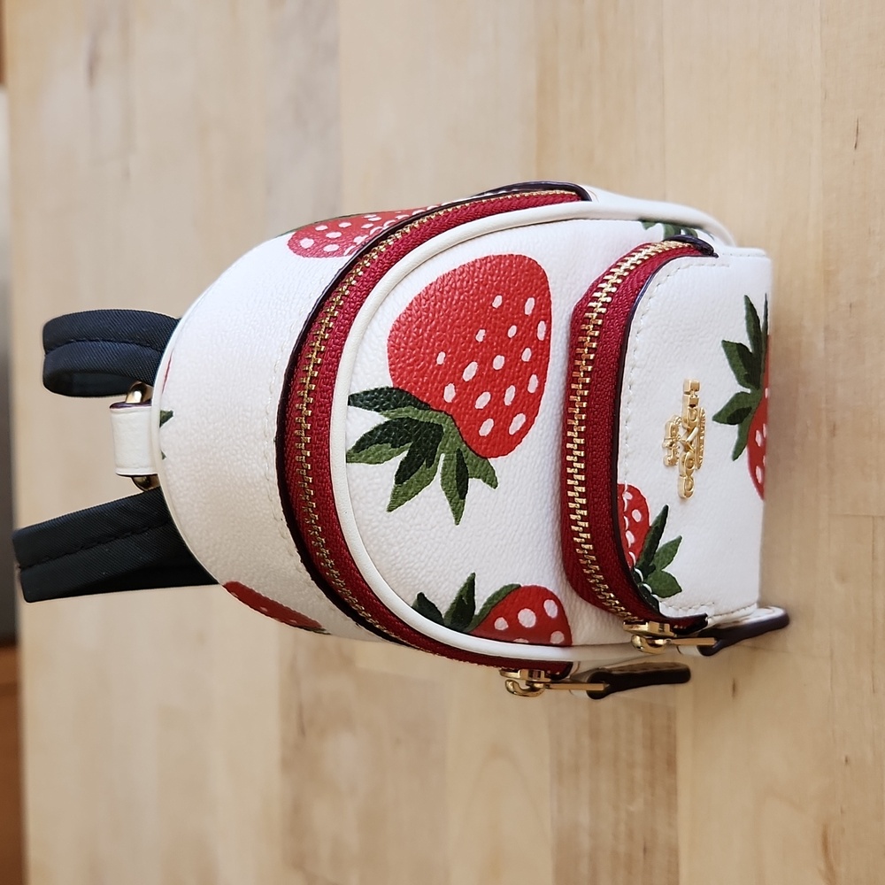 Coach backpack keychain